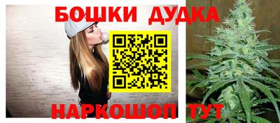 индика Гусь-Хрустальный