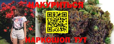 индика Гусь-Хрустальный