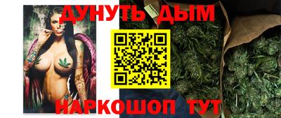 индика Гусь-Хрустальный