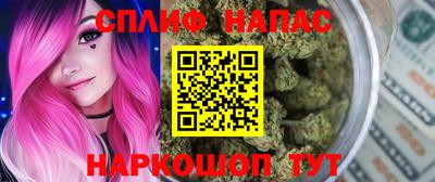 индика Гусь-Хрустальный