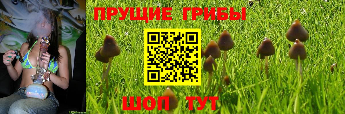 Псилоцибиновые грибы Magic Shrooms Нерюнгри