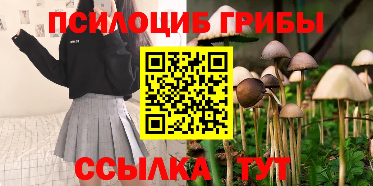 Галлюциногенные грибы мицелий  Галлюциногенные грибы Cubensis  Вход с VPN  Нерюнгри 